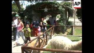Zoo nativity scene features jungle animals