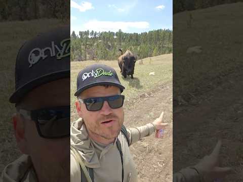 Чил чил это видео. Автор видео: @fishnex #комментарии #юмор #мем