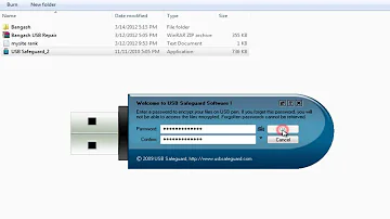 Protect USB files With Password