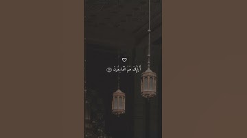 سورة الحشر #قران كريم #فارس عباد #ارح سمعك