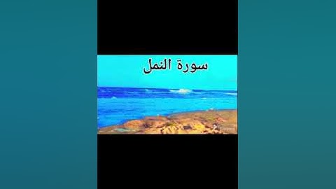 قناة الأمة بمشاركة الاخ احمد فرحتي والقاسمي علاء الدين الفصيح سورة النمل