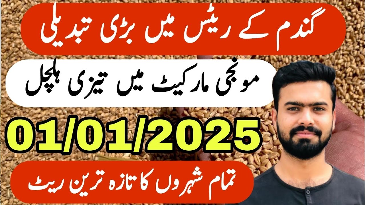 Today Wheat Price in Punjab | Munji Rate Today | Zaraat زراعت - YouTube