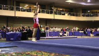 Danny Berardini - Floor Exercise - 2014 Winter Cup Challenge Finals