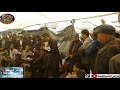 وترة نايضة مع ناس الشياظمة شياظمة