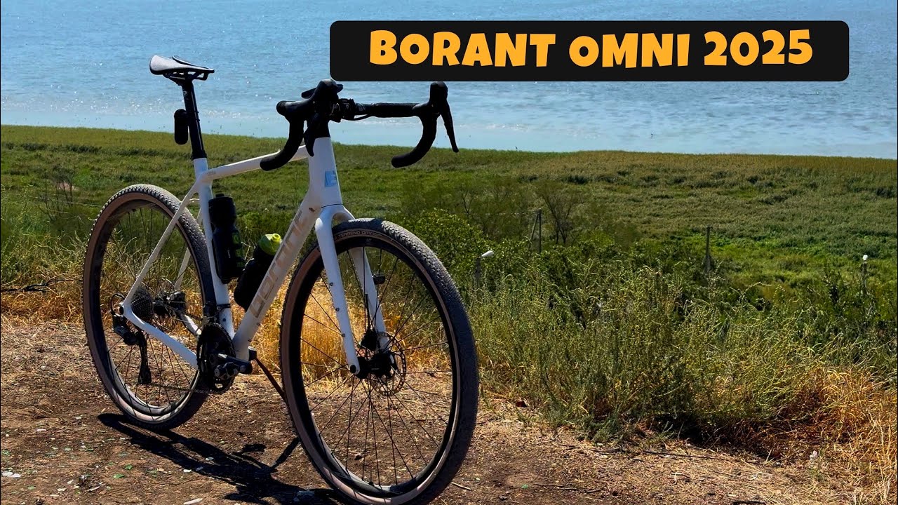 ОБЗОР нового ГРЕВЕЛА / BORANT OMNI 2025