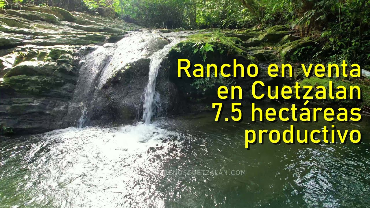 Rancho en venta con cultivos 7.5 hectáreas en Cuetzalan Puebla