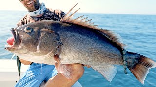 Monster Pacific Ocean Grouper Fishing