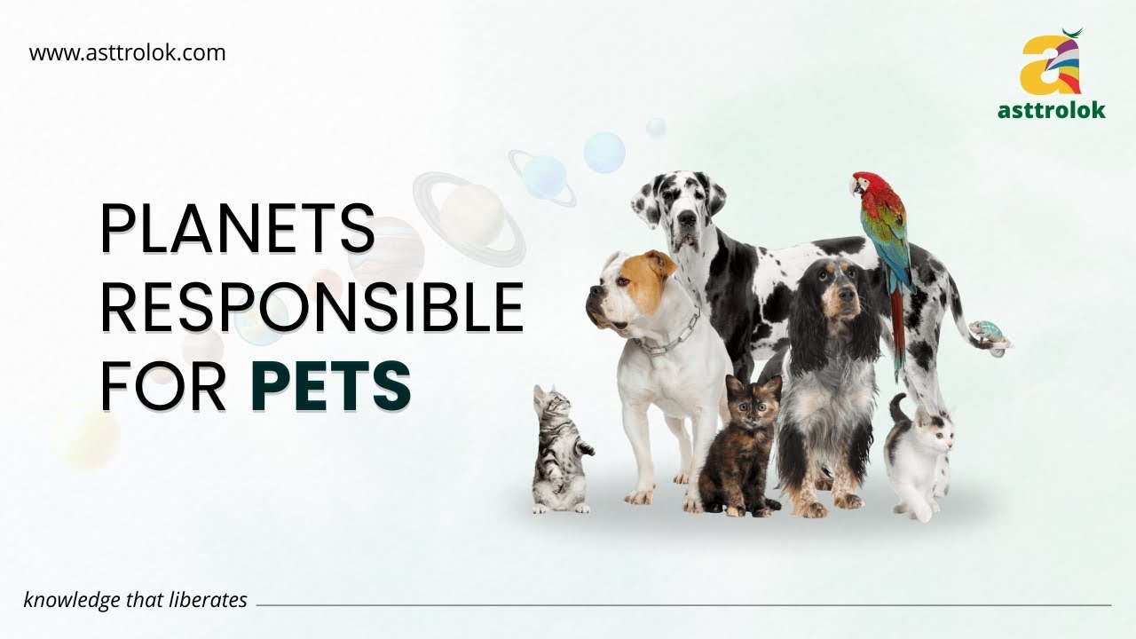Planets Responsible For Pets | Remedies via Animals in Jyotish | Online  Astrology Course
