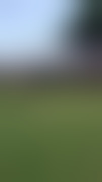 TAWURAN ANARKIS LIVE NEW PALLAPA SITIREJO(SIBER COMUNITY)