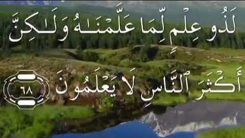 سورة يوسف صفحة ٢٤٣ مكتوبة مكررة بصوت سعد الغامدي