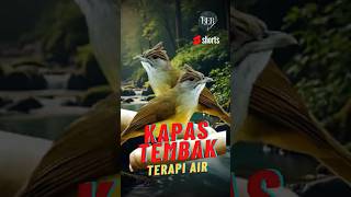 TERAPI AIR MASTERAN KAPAS TEMBAK
