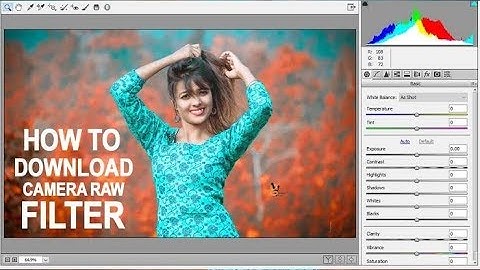 How to install camera raw filter in Photoshop CS6