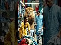 Ab sher bhi kapde dho raha hai 😂🦁