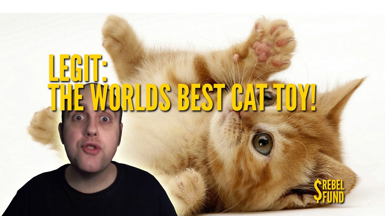 The World's Best Cat Toy Mousr YouTube