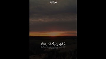 {قُل لَّن يُصِيبَنَا إِلَّا مَا كَتَبَ اللَّهُ لَنَا} القارئ فيصل الهاجري