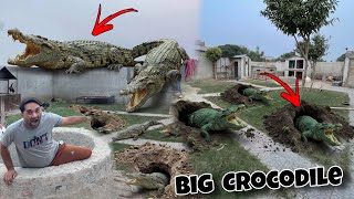 Dangerous CROCODILES Apny Bachon Ko Lainy Zoo A Gaye😱 Zoo In Danger