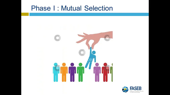 Promoting Effective Mentoring in Science Careers