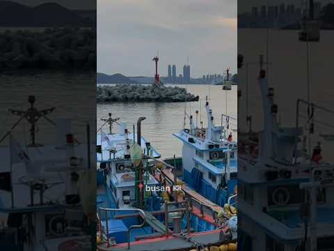 busan memories in 23 seconds