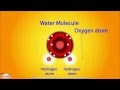 Atomic Structure and Bonding Concepts
