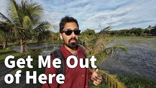 No Country For Old Men - I Can't Live Like This