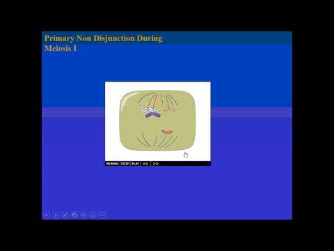 Mr. Walker&rsquo;s Science 30: Karyotypes, Non disjunction, and Amniocentesis