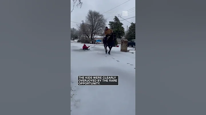 A unique way to have a little fun in the Texas ice storm | #shorts #newvideo #trending #youtube