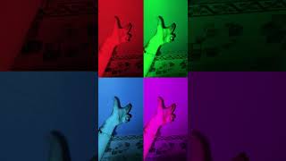 chandi rat mein Goli calaya #short video