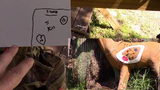 Hunt Quest Quick Tip-Improve Bow Accuracy