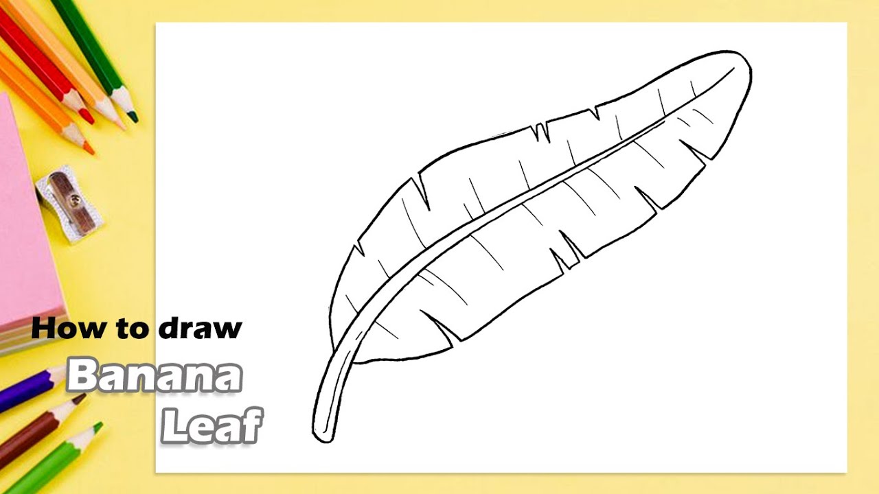 banana-leaf-illustration-drawing-engraving-ink-line-55-off