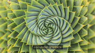 The beauty of Fractals