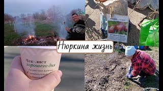 Живем на юге // Воскресный рынок // Посадила имбирь, унаби и жимолость