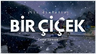 BİR ÇİÇEK ŞİİRİ DİNLETİSİ ( Cemal Süreya ) Resimi