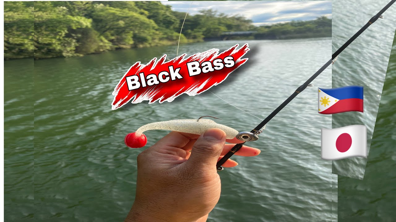 Black bass fishing pero way kuha