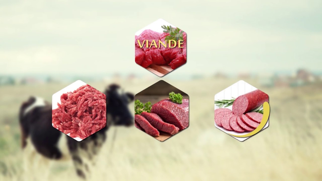 Métier de l’élevage