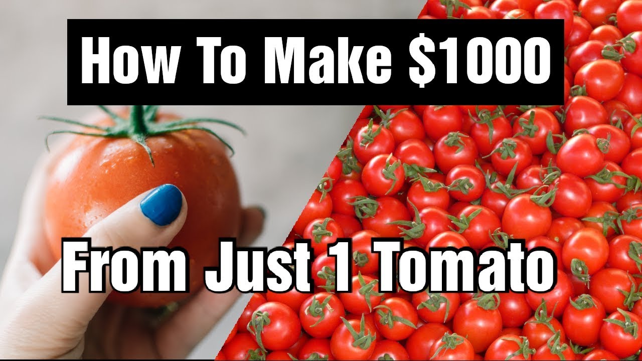 1000$ за 1 помидор!