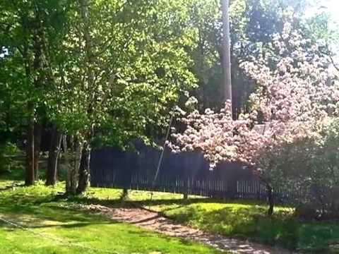 537 Eastern Ave, Augusta, ME home video tour