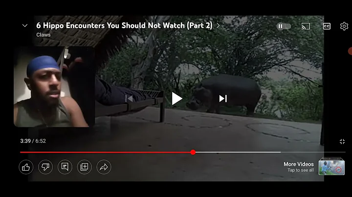 6 hippo encounters you should not watch part 2. (Marv tv channel in the description) .