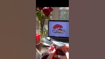 Swiss darning aka duplicate stitch knitting 🧶