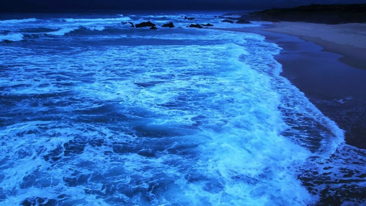 NIGHT SCENE ON THE COAST 🌊😴  Relaxing Ocean Sound At Night