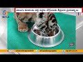 Nandyal Tiger Cubs: Officials Search operation underway