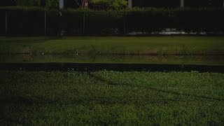 Man who ran from deputies jumps into canal, dies