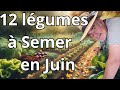 12 lgumes dt  semer maintenant 