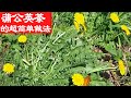 蒲公英茶的超简单制作做法,私藏多年的经验,没有苦涩只有芳香,沁人心脾,冬天泡水喝好处多多