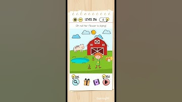 Brain Test Level 256 Walkthrough