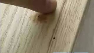 Learn how to use wood putty to build a custom desk hutch in this free DIY woodworking video. Expert: teacherjon Bio: Jon holds a 
