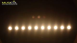 sun strip -  MUSICOL  -  מיוזיקול חנות ההגברה והתאורה הגדולה בצפון