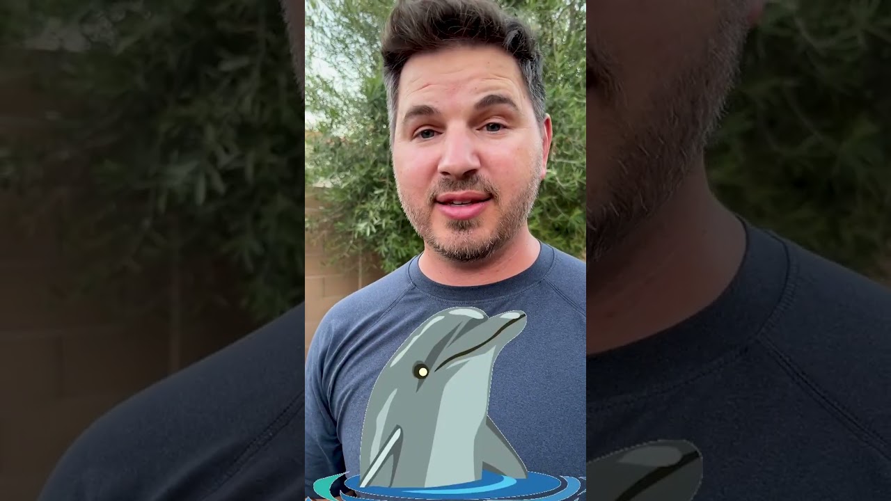 🐬Sound like a Dolphin! 