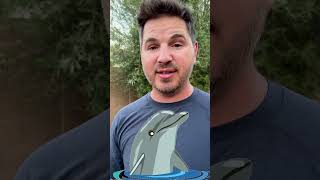 Sound Like A Dolphin