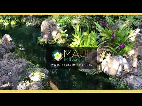 The Maui Miracle is about voters making a difference