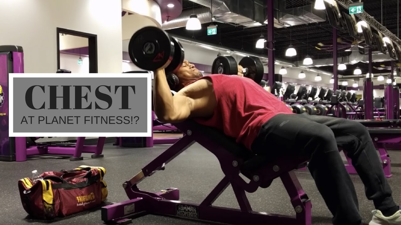 Beginner Back Workout At Planet Fitness 